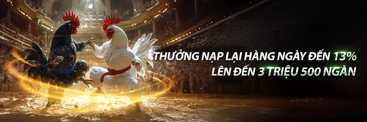 Sân vận động tràn ngập người hâm mộ và sự phấn khích của cá cược thể thao tại F8BET Game